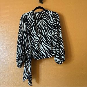 Fun Zebra Stripe Express Blouse